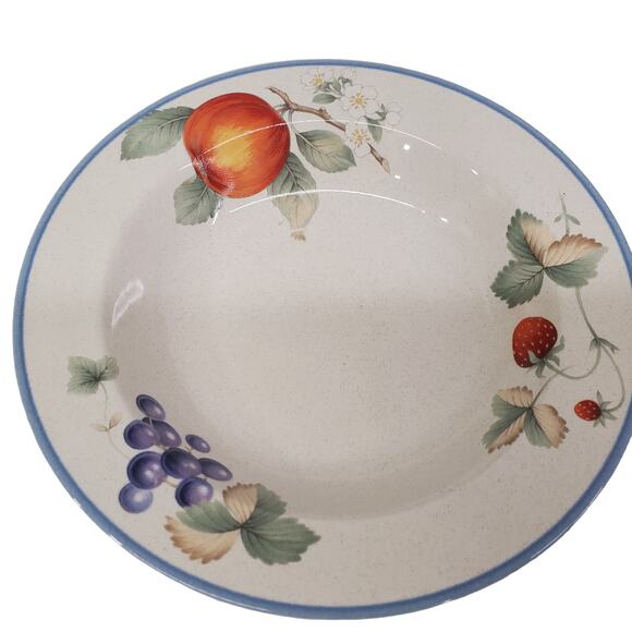 Savoir Vivre Lucious Rimmed Large Soup Bowl Cereal Bowl Vintage Dinner wear - Picture 2 of 9